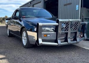 heavy duty bull bar