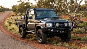 79 series bull bar